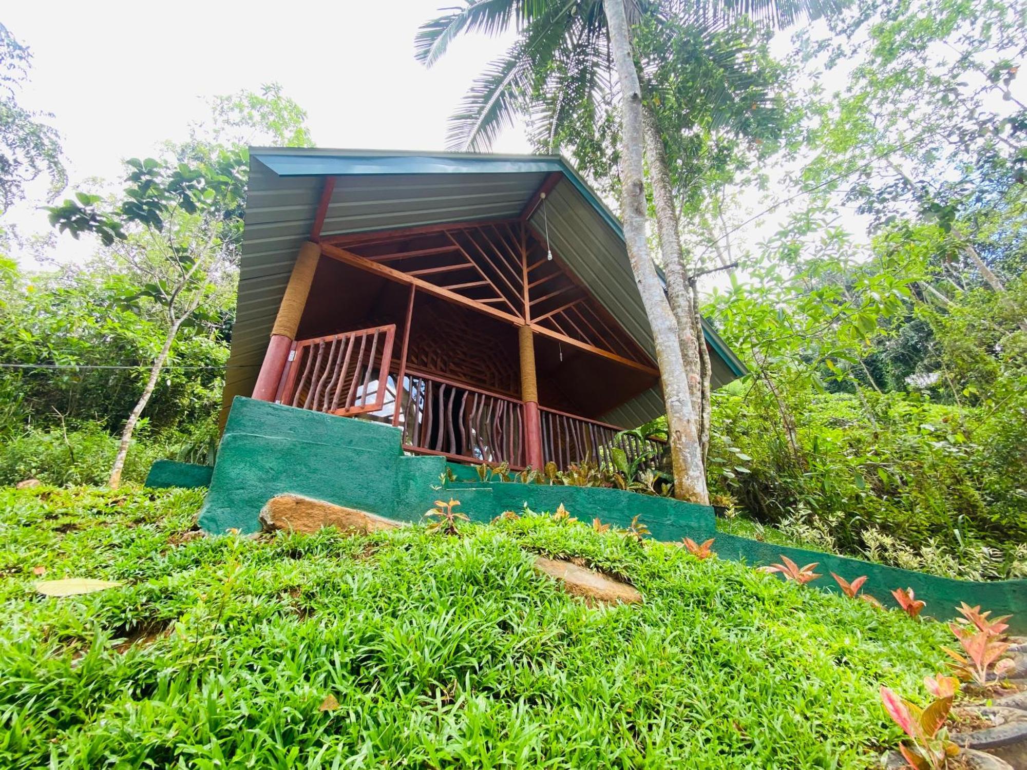 Hotel The Rainforest Hideaway Deniyaya Exteriér fotografie