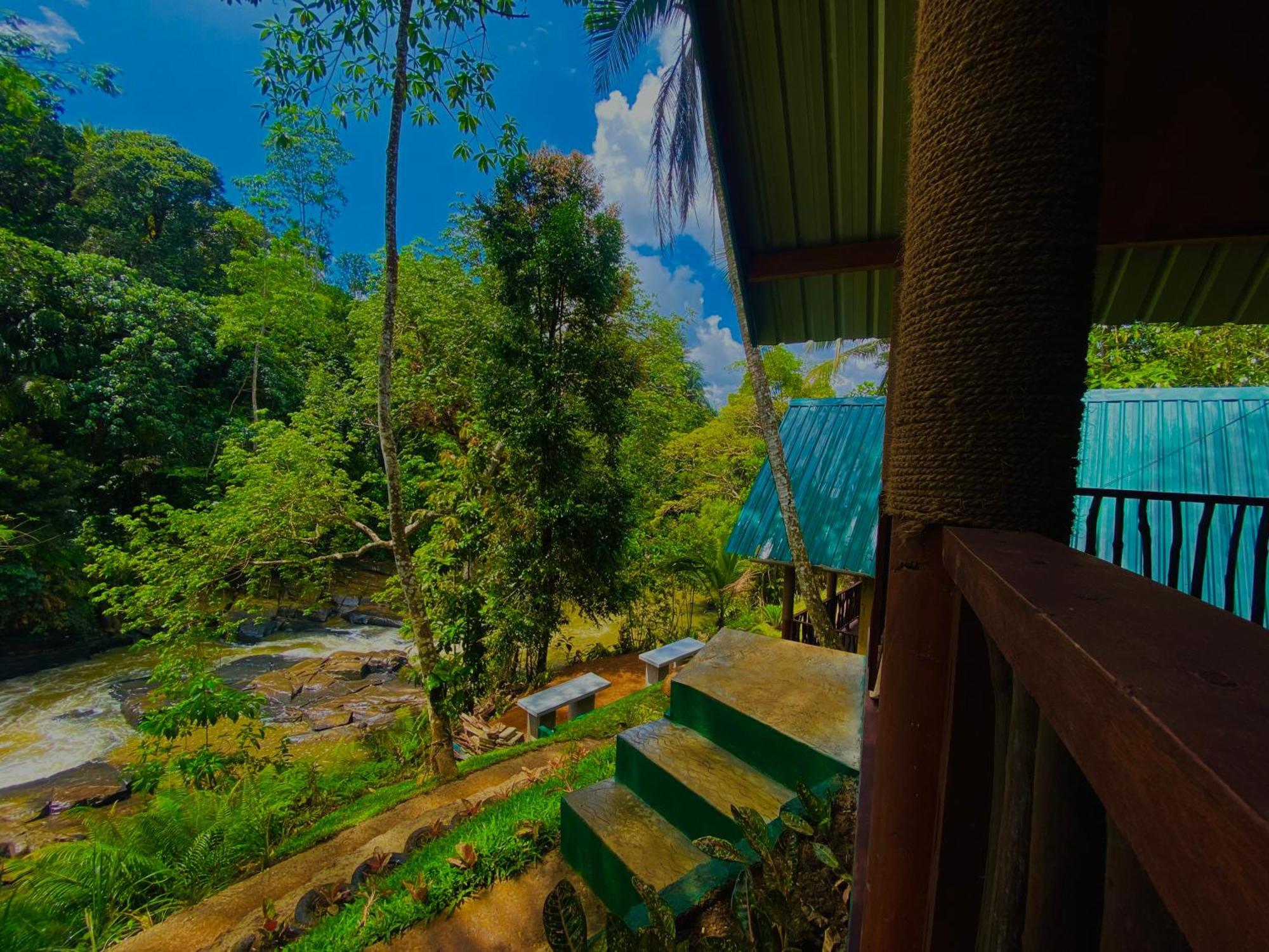 Hotel The Rainforest Hideaway Deniyaya Exteriér fotografie