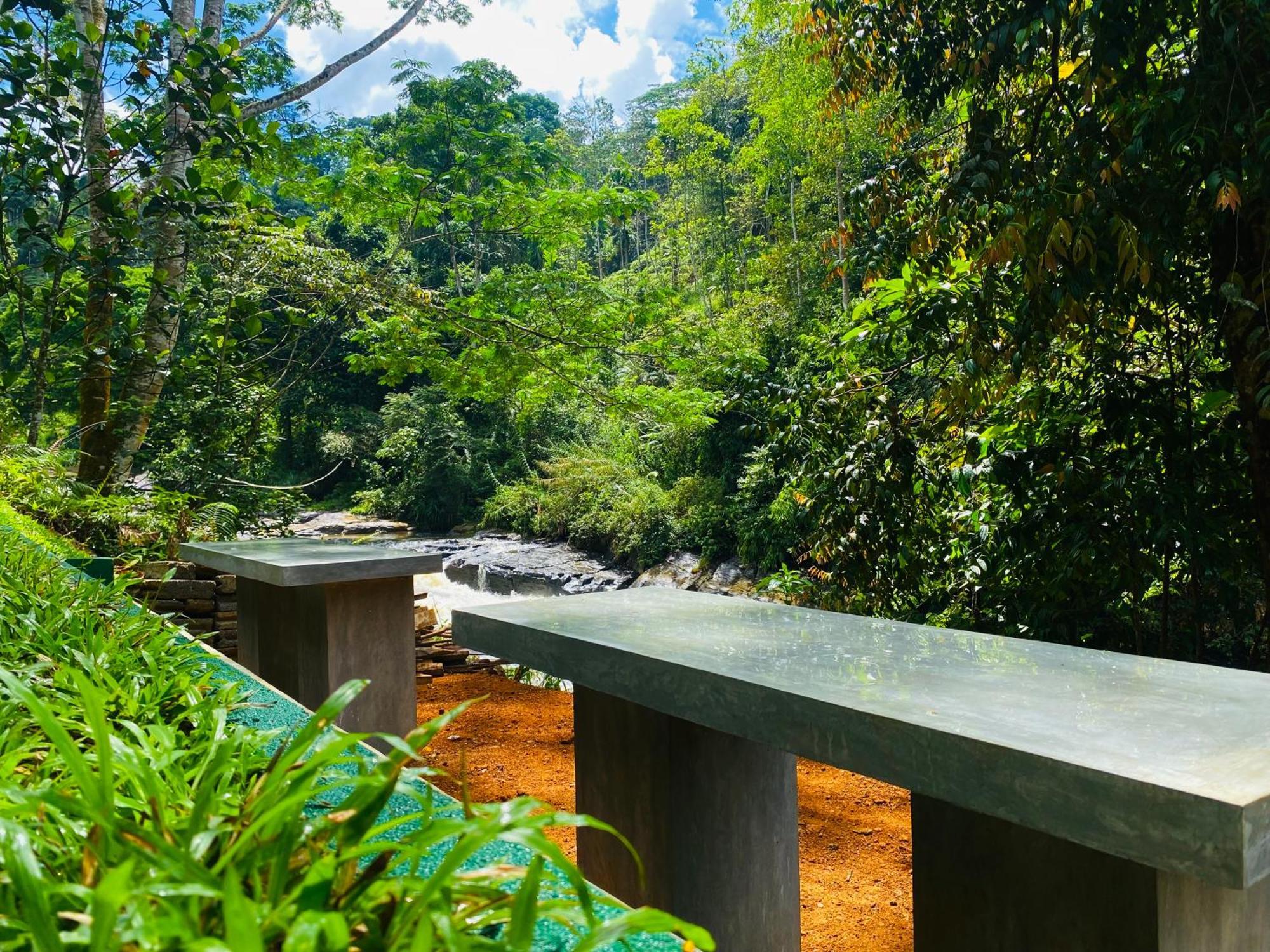 Hotel The Rainforest Hideaway Deniyaya Exteriér fotografie